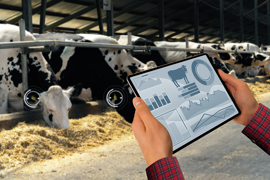 Dairy Innovation Day Coming to Stephenville on April 27 thumbnail